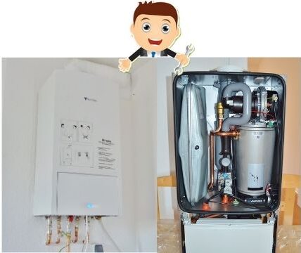 geyser repair